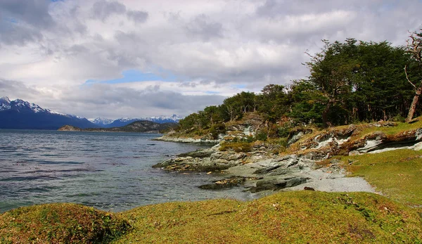 Tierra Del Fuego National Park National Park Argentine Part Island — Stock Photo, Image