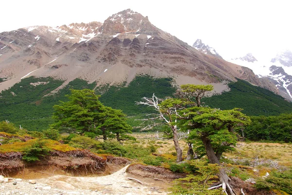 Krajobraz Góry Monte Fitz Roy Parku Narodowym Los Glaciares Patagonia — Zdjęcie stockowe