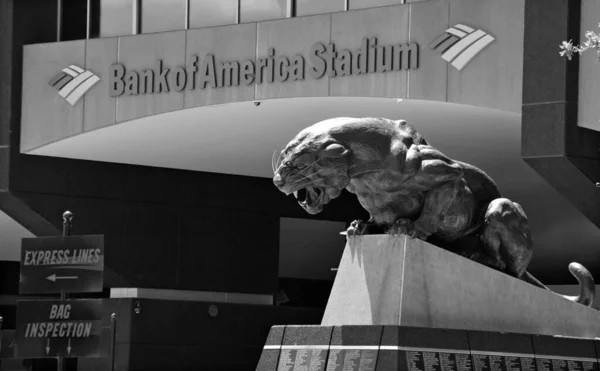 Charlotte Usa Червня 2016 Bank America Stadium 412 Місний Футбольний — стокове фото