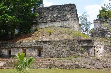 TIKAL, GUATEMALA MAYIS 03 2016: Guatemala Tikal Ulusal Parkı 'ndaki Kolomb öncesi Maya uygarlığının arkeolojik alanı 1979' dan beri UNESCO Dünya Mirası Alanı 'dır.