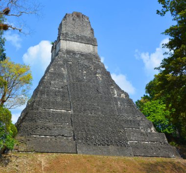 TIKAL, GUATEMALA MAYIS 03 2016: Guatemala Tikal Ulusal Parkı 'ndaki Kolomb öncesi Maya uygarlığının arkeolojik alanı 1979' dan beri UNESCO Dünya Mirası Alanı 'dır.