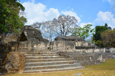 TIKAL, GUATEMALA MAYIS 03 2016: Guatemala Tikal Ulusal Parkı 'ndaki Kolomb öncesi Maya uygarlığının arkeolojik alanı 1979' dan beri UNESCO Dünya Mirası Alanı 'dır.
