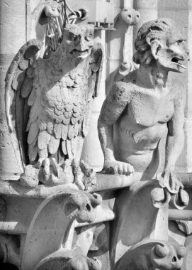 PARIS, FRANCE - OCT. 19: Paris Gargoyle, Fransa 'nın Notre Dame Katedrali, 19 Ekim 2014, Paris' in en ünlü simgelerinden biri. 2013 'te katedral 850' nci yılını kutladı..