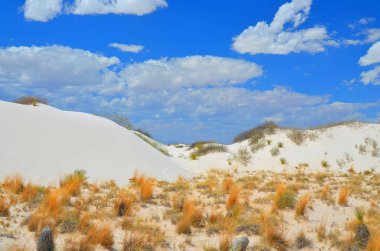 New Mexico eyaletindeki White Sands Ulusal Anıtı alçıtaşı kristallerinden oluşan beyaz kum tepecikleri alanıdır. Alçıtaşı kum tarlası Dünya 'daki türünün en büyüğüdür..
