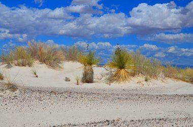 New Mexico eyaletindeki White Sands Ulusal Anıtı alçıtaşı kristallerinden oluşan beyaz kum tepecikleri alanıdır. Alçıtaşı kum tarlası Dünya 'daki türünün en büyüğüdür..