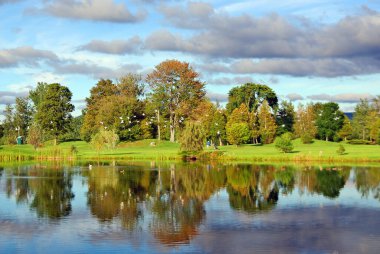 Nehir, orman ve gökyüzü bulutlu 
