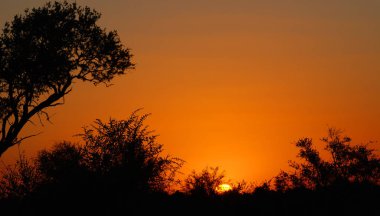 Afrika Günbatımı, Sabi Kum Rezervi, Güney Afrika