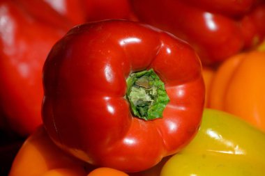 Dolmalık biber ayrıca tatlı biber, biber ve kapsiyum olarak da bilinir, Capsicum Annuum familyasından bir kuş türü.