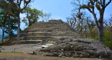TIKAL, GUATEMALA MAYIS 03 2016: Guatemala Tikal Ulusal Parkı 'ndaki Kolomb öncesi Maya uygarlığının arkeolojik alanı 1979' dan beri UNESCO Dünya Mirası Alanı 'dır.