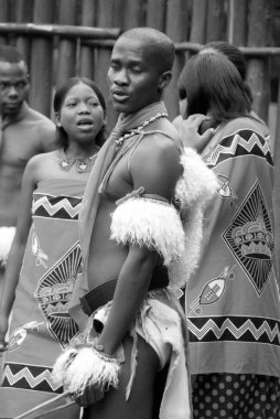 MANZINI, SWAZILAND - 25 Kasım 2010 Manzini, Svaziland 'daki bir Swazi şovunun sunumunda kimliği belirsiz genç erkekler geleneksel giysiler giyer ve dans eder.