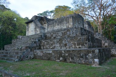 TIKAL, GUATEMALA MAYIS 03 2016: Guatemala Tikal Ulusal Parkı 'ndaki Kolomb öncesi Maya uygarlığının arkeolojik alanı 1979' dan beri UNESCO Dünya Mirası Alanı 'dır.
