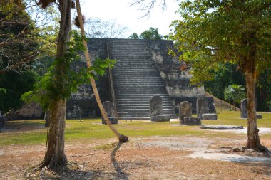 TIKAL, GUATEMALA MAYIS 03 2016: Guatemala Tikal Ulusal Parkı 'ndaki Kolomb öncesi Maya uygarlığının arkeolojik alanı 1979' dan beri UNESCO Dünya Mirası Alanı 'dır.