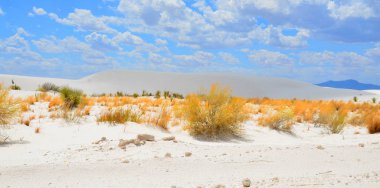 New Mexico eyaletindeki White Sands Ulusal Anıtı alçıtaşı kristallerinden oluşan beyaz kum tepecikleri alanıdır. Alçıtaşı kum tarlası Dünya 'daki türünün en büyüğüdür..