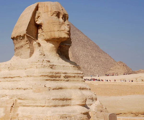 Egitto Cairo 2010 Grande Sfinge Giza Sfinge Giza Una Statua — Foto Stock