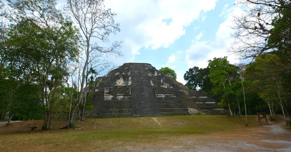 Tikal Guatemala May 2016 Archaeological Site Pre Columbian Maya Civilization — 图库照片