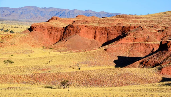 ナミビアのナミブ砂漠のグランドキャニオンの風景です — ストック写真