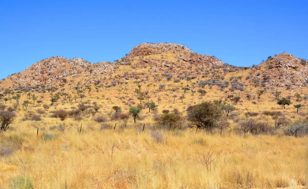 Berg Arizonaöknen Längs Route — Stockfoto