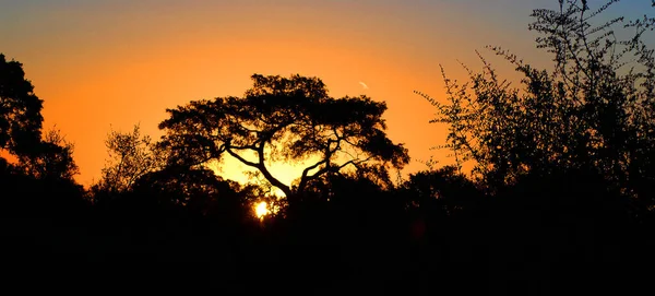 Puesta Sol Parque Kruger Sudáfrica Una Las Mayores Reservas Caza —  Fotos de Stock