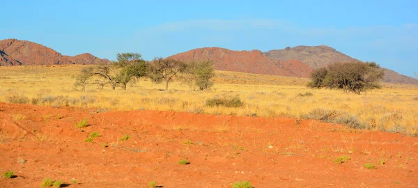 Landskapet Namib Naukluft National Park Nationalpark Namibia Som Omfattar Del — Stockfoto