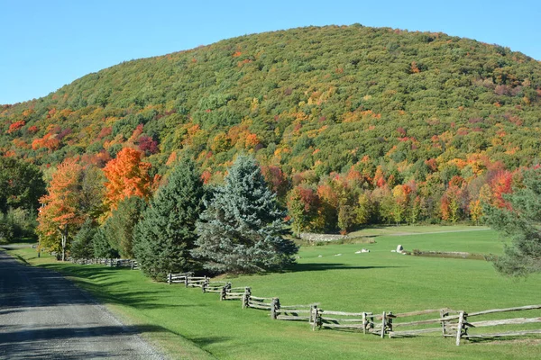 Podzimní Krajina Stromy Zelenou Trávou — Stock fotografie