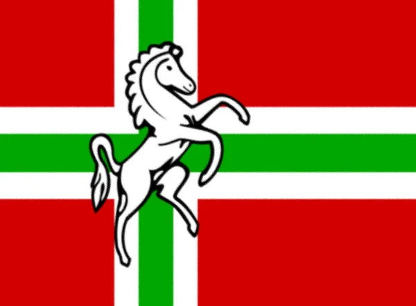 이랜드의 깃발을 — 스톡 사진