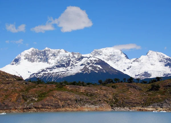 Lago Argentino Jezioro Prowincji Santa Cruz Argentynie Jezioro Leży Parku — Zdjęcie stockowe