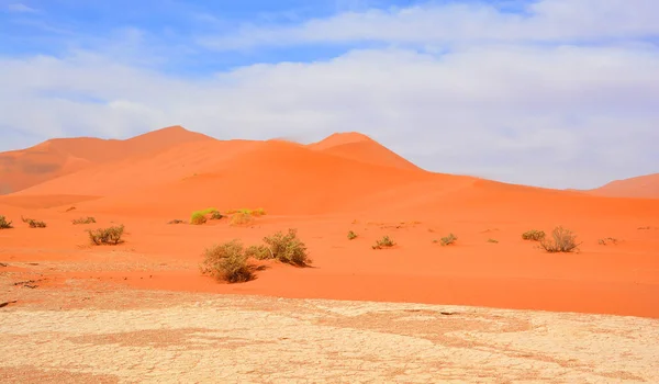 Der Namib Naukluft Nationalpark Ist Ein Nationalpark Namibias Der Teile — Stockfoto