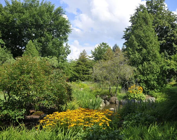 Beautiful Summer Landscape Flowers Plants — Stock Photo, Image