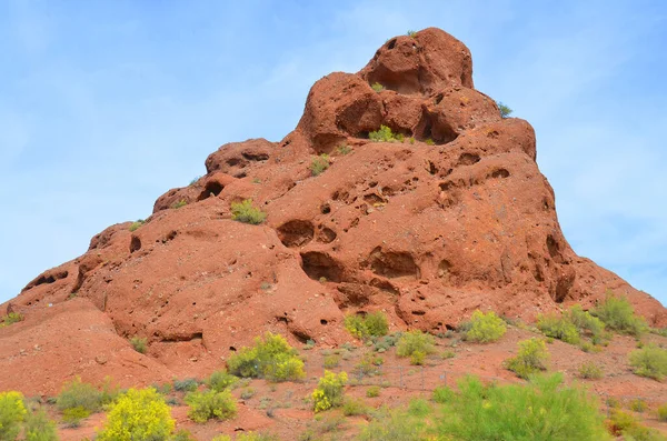 Paisaje Desértico Arizona Usa — Foto de Stock