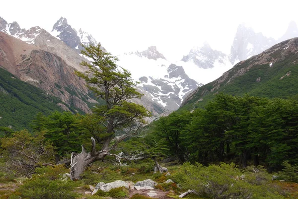 Krajobraz Góry Monte Fitz Roy Parku Narodowym Los Glaciares Patagonia — Zdjęcie stockowe