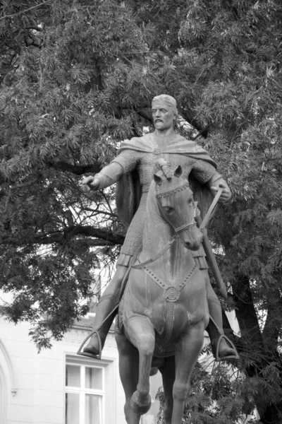 Lviv Ukraine Estátua Daniel Galiza Danylo Romanovych Foi Rei Rutênia — Fotografia de Stock