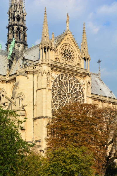 Vista Catedral Notre Dame Paris — Fotografia de Stock