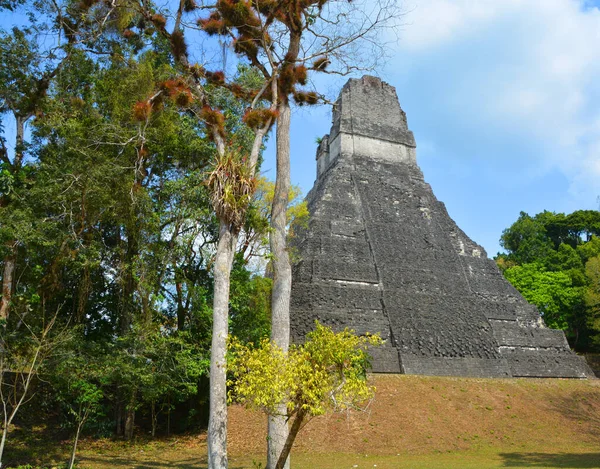 Tikal Guatemala Mai 2016 Sítio Arqueológico Civilização Maia Pré Colombiana — Fotografia de Stock