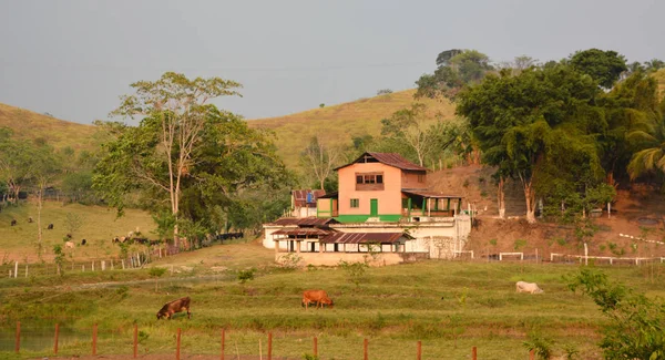 Guatemala Rural Prosty Dom Rdzenne Rodziny Stoją Obliczu Skrajnego Ubóstwa — Zdjęcie stockowe