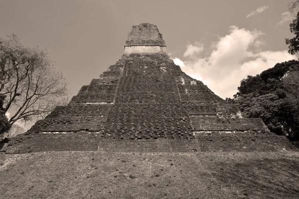 ティカル グアテマラ2016年5月3日 グアテマラのティカル国立公園にあるコロンビア前マヤ文明の遺跡公園は1979年以来ユネスコの世界遺産に登録されています — ストック写真