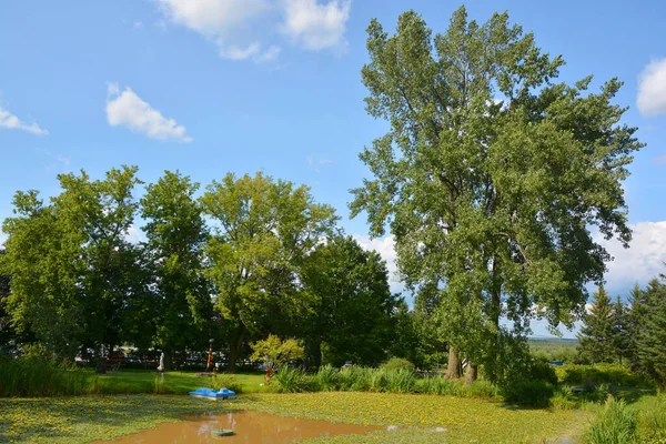 Sommerlandschaft Quebec Provinz Kanada — Stockfoto