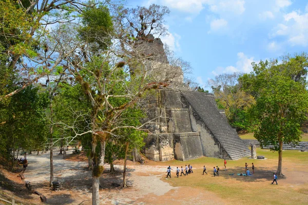 Tikal Guatemala May 2016 Archaeological Site Pre Columbian Maya Civilization — стокове фото