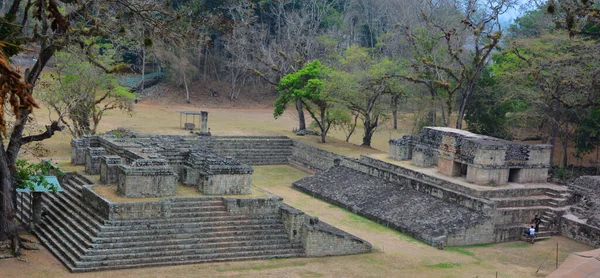 Copan Honduras 2016 Мезоамериканський Або Майянський Першим Видом Спорту Історії — стокове фото