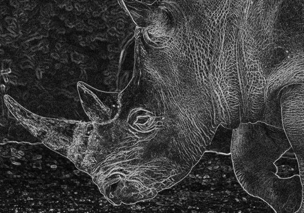 rhino in the zoo, black illustration