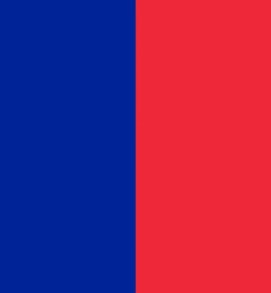 Bandeira Paris Capital Cidade Mais Populosa França — Fotografia de Stock
