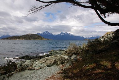 Tierra del Fuego Ulusal Parkı, Arjantin 'in Tierra del Fuego adasının Patagonic Ormanı ve Altos And Dağları' nda yer alan bir milli parktır.