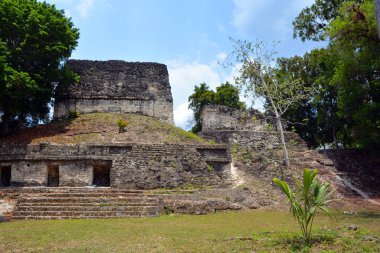 TIKAL, GUATEMALA MAYIS 03 2016: Guatemala Tikal Ulusal Parkı 'ndaki Kolomb öncesi Maya uygarlığının arkeolojik alanı 1979' dan beri UNESCO Dünya Mirası Alanı 'dır.
