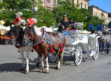 KRACOW POLAND 09: 10 17: Krakow 'u gezmenin en romantik yolu Rynek Glowny' nin kuzey ucunda sıralanan at arabalarıdır..