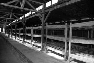 AUSCHWitz BirkENAU POLAND 09: 17: mahpusların ranzalarını gösteren bir barakanın içi. İkinci Dünya Savaşı 'nda burada 1,5 milyon insan katledildi..