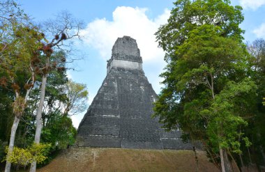 TIKAL, GUATEMALA MAYIS 03 2016: Guatemala Tikal Ulusal Parkı 'ndaki Kolomb öncesi Maya uygarlığının arkeolojik alanı 1979' dan beri UNESCO Dünya Mirası Alanı 'dır. 