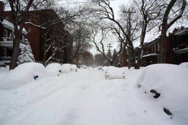 MONTREAL-CANADA 01: 24 Ontario ve Quebec bu kış şiddetli kar fırtınalarına yakalanacak