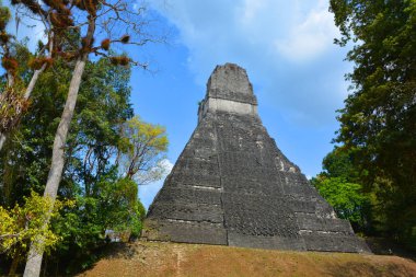 TIKAL, GUATEMALA MAYIS 03 2016: Guatemala Tikal Ulusal Parkı 'ndaki Kolomb öncesi Maya uygarlığının arkeolojik alanı 1979' dan beri UNESCO Dünya Mirası Alanı 'dır. 