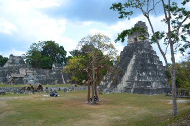TIKAL, GUATEMALA MAYIS 03 2016: Guatemala Tikal Ulusal Parkı 'ndaki Kolomb öncesi Maya uygarlığının arkeolojik alanı 1979' dan beri UNESCO Dünya Mirası Alanı 'dır.