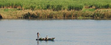 NILE RIVER BANK EGYPT 11 25: 08: Balıkçılarla birlikte Nil nehri kıyıları gerçekten gelişiyor ve ülke dünyanın en iyi balıkçılık merkezlerinden biri olarak kabul ediliyor