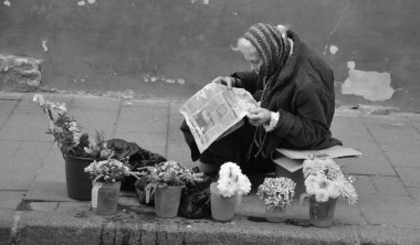 LVIV UKRAINE 09 09: 17: Yaşlı kadın babuşka, Lviv Ukrayna 'nın eski şehir merkezindeki pazarda yaşamak için çiçek satıyor.